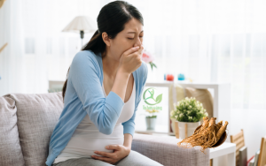 mẹ bầu uống sâm