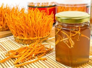 uống đông trùng hạ thảo mỗi ngày có tốt không