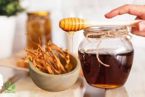 Đông trùng hạ thảo ngâm mật ong uống lúc nào