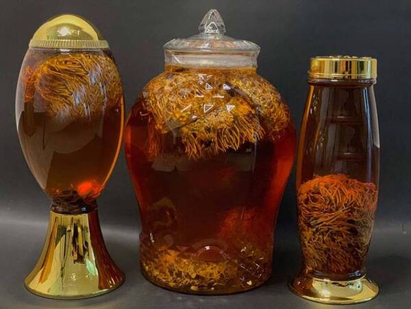 lưu ý khi dùng rượu đông trùng hạ thảo