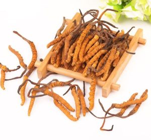 tại sao đông trùng hạ thảo giá rẻ