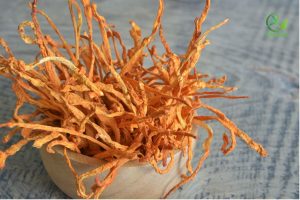 Nghi vấn đông trùng hạ thảo có phải thực phẩm chay