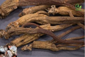 dấu hiệu sâm khô bị hư