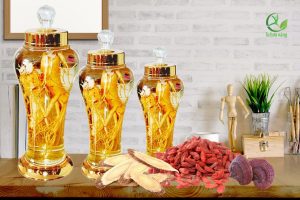 sâm tươi ngâm với gì tốt nhất