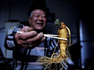 loai-sam-nao-tot-cho-nguoi-gia