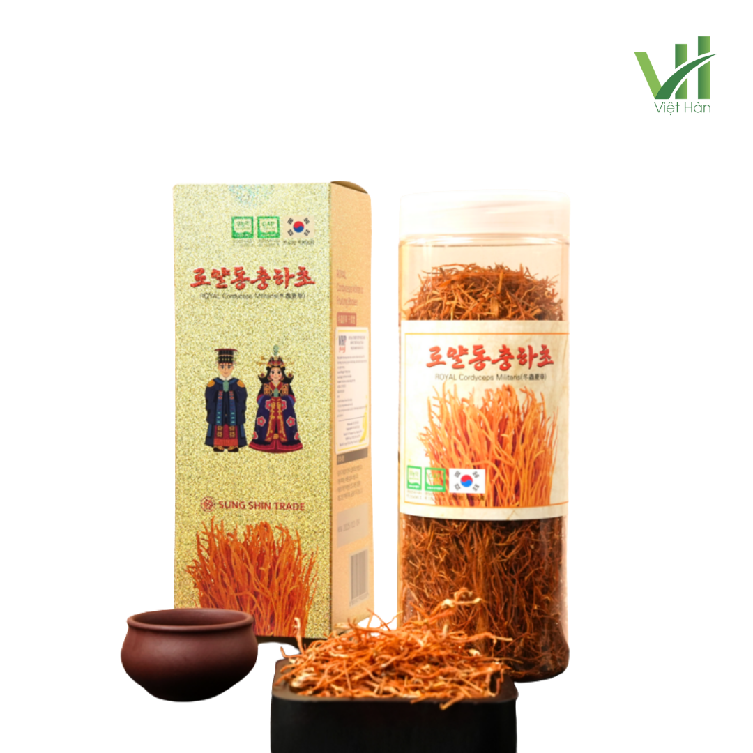 Nấm Đông Trùng Sấy Khô Daedong 100g