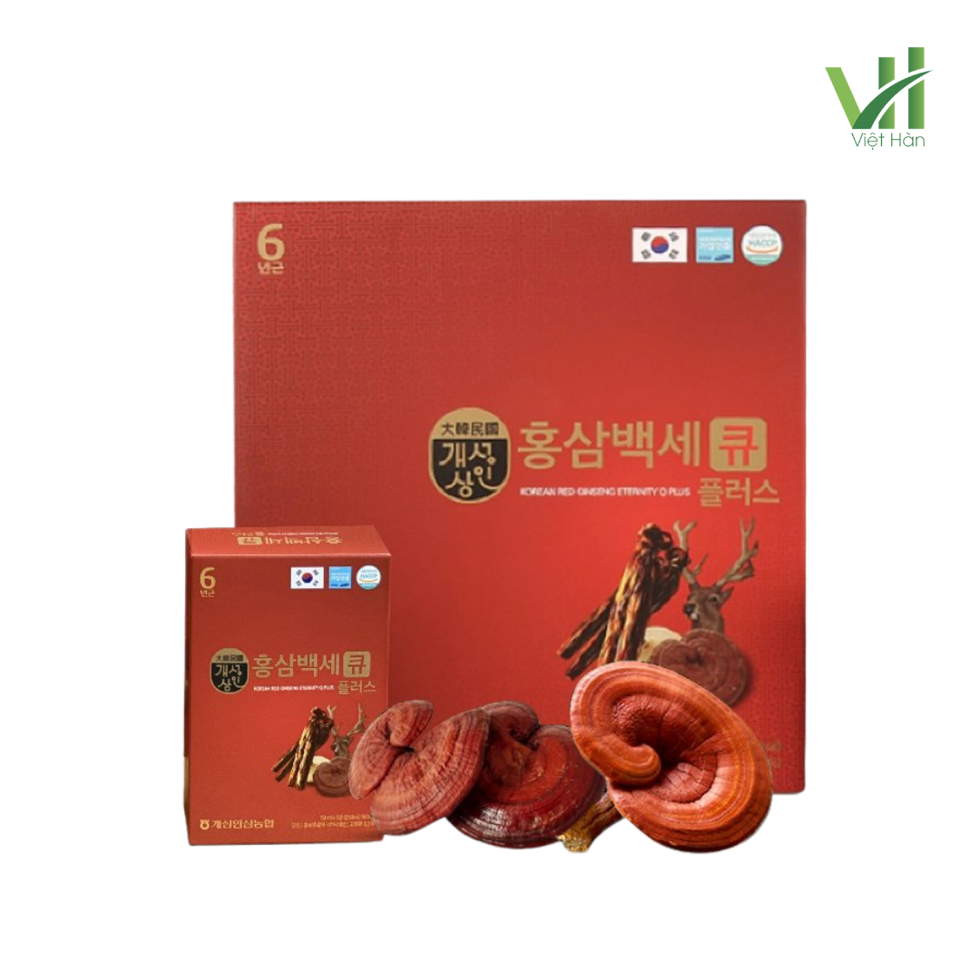 Nước Hồng Sâm Nhung Hươu Linh Chi Q Plus 50ml x 30 Gói