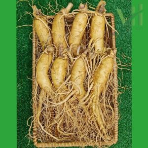Sâm tươi Hàn Quốc 8 củ 1 kg – Sâm loại 1