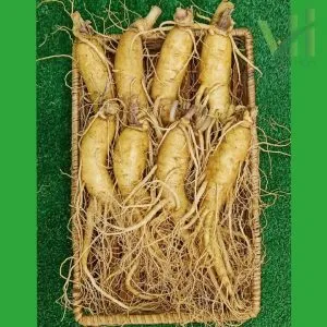 Sâm tươi Hàn Quốc 8 củ 1 kg – Sâm loại 1