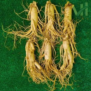 Sâm tươi Hàn Quốc 6 củ 1 kg – Sâm loại 1 quà biếu cho người thân